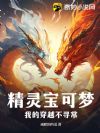 ���鱦���Σ��ҵĴ�Խ��Ѱ��