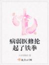 病弱医修抡起了铁拳